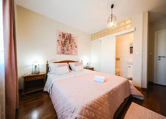 Marigold Zadar Zadar