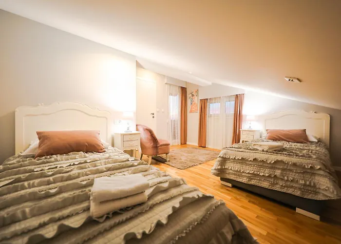 Marigold Zadar * Zadar