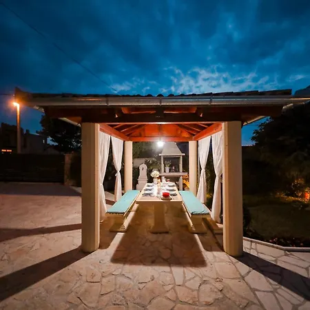 Marigold * 扎达尔