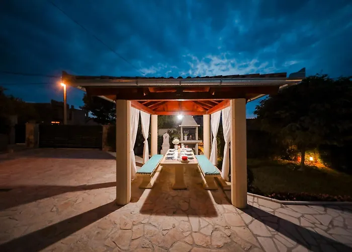 Marigold * 扎达尔