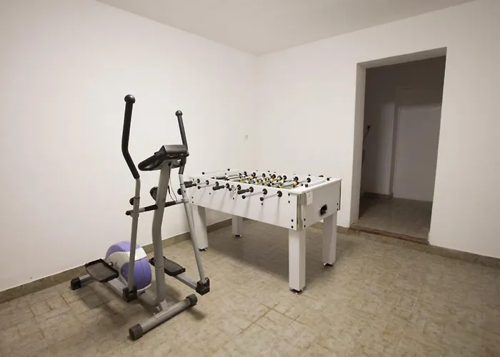 Marigold * 扎达尔