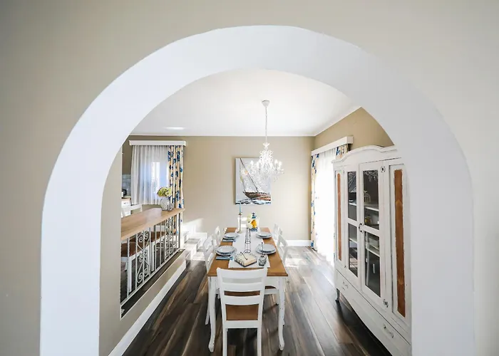 Marigold Zadar Zadar