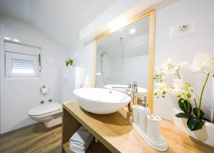 Marigold Zadar * Zadar